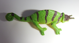 Chameleon  (mini)
