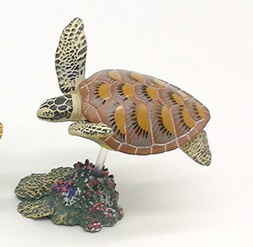 Green sea turtle Takara Tomy