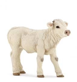 Charolais kalf   Papo 51157