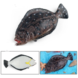 Flatfish   (small)
