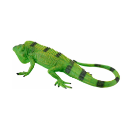 Iguana  Mojo 381095