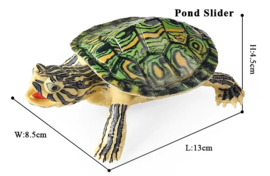 Moerasschildpad XL