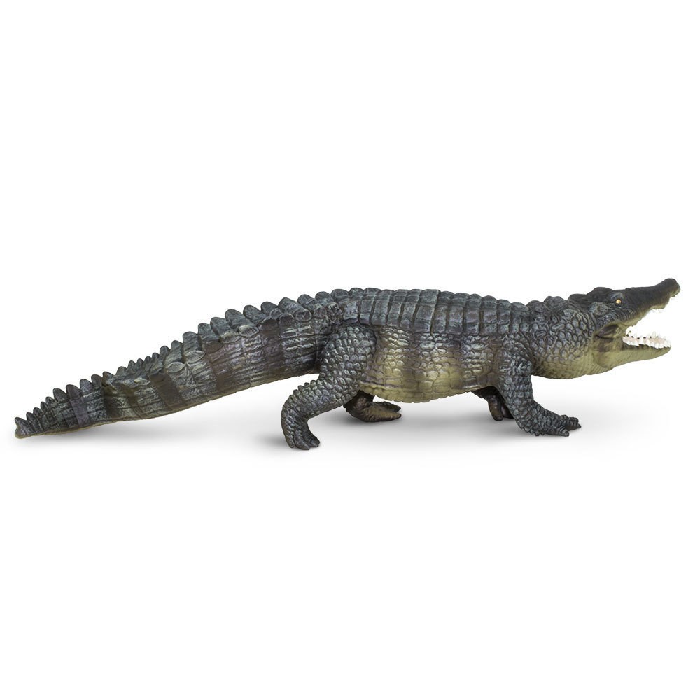 Zoutwaterkrokodil  XXL S262629