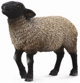 Sheep Suffolk     CollectA  88636