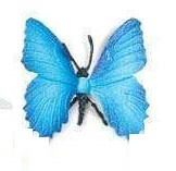 Vlinder blauw mini