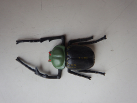 Beetle green