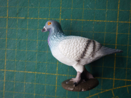 Carier pigeon