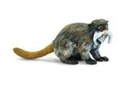 Emperor Tamarin  mini