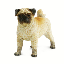 Pug  S103540