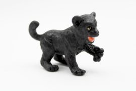 Black panther cub   Safari 272929