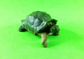 Galagapos reuzenschildpad Takara Tomy