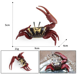 Wink crab