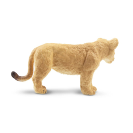 Lion cub standing  Toymany