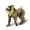 Mandrill  S100273