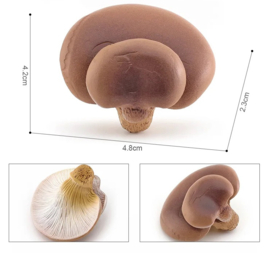 Oesterzwam  Pleurotus ostreatus