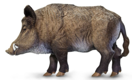 Wild Zwijn S224229