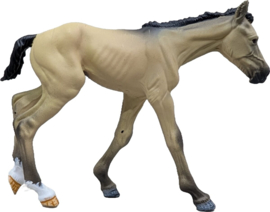 Pinto Mustang  merrie en veulen