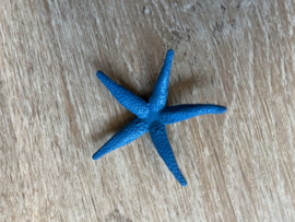Zeesterretje blauw