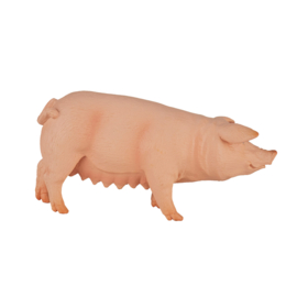 Pig  sow Mojo 387054