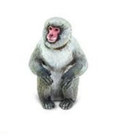 Japanse makaak  mini