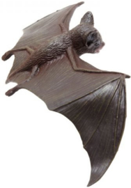 Brown Bat S260629