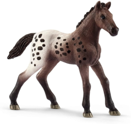 Appaloosa veulen - Schleich 13862