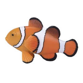 Clown fish  Mojo 387090