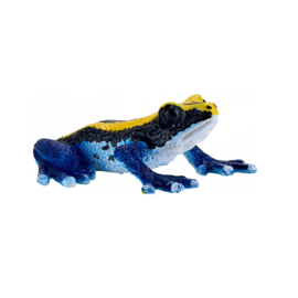 Poison Dart Frog blue    Mojo 381069    june 2025