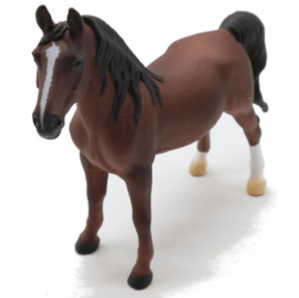 American saddlebred stallion Collecta XL 88954