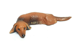 P13 Dachshund  Teckel Takshond