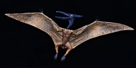 Pteranodon merkloos