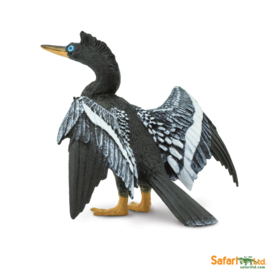 Anhinga   S150129