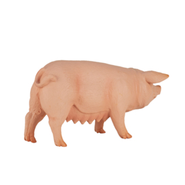 Pig  sow Mojo 387054