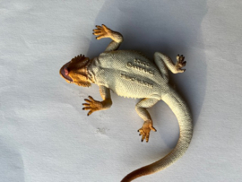Bearded Dragon Toymany
