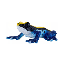 Poison Dart Frog blue    Mojo 381069    june 2025