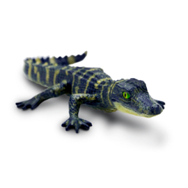 Alligator baby Safari 101073