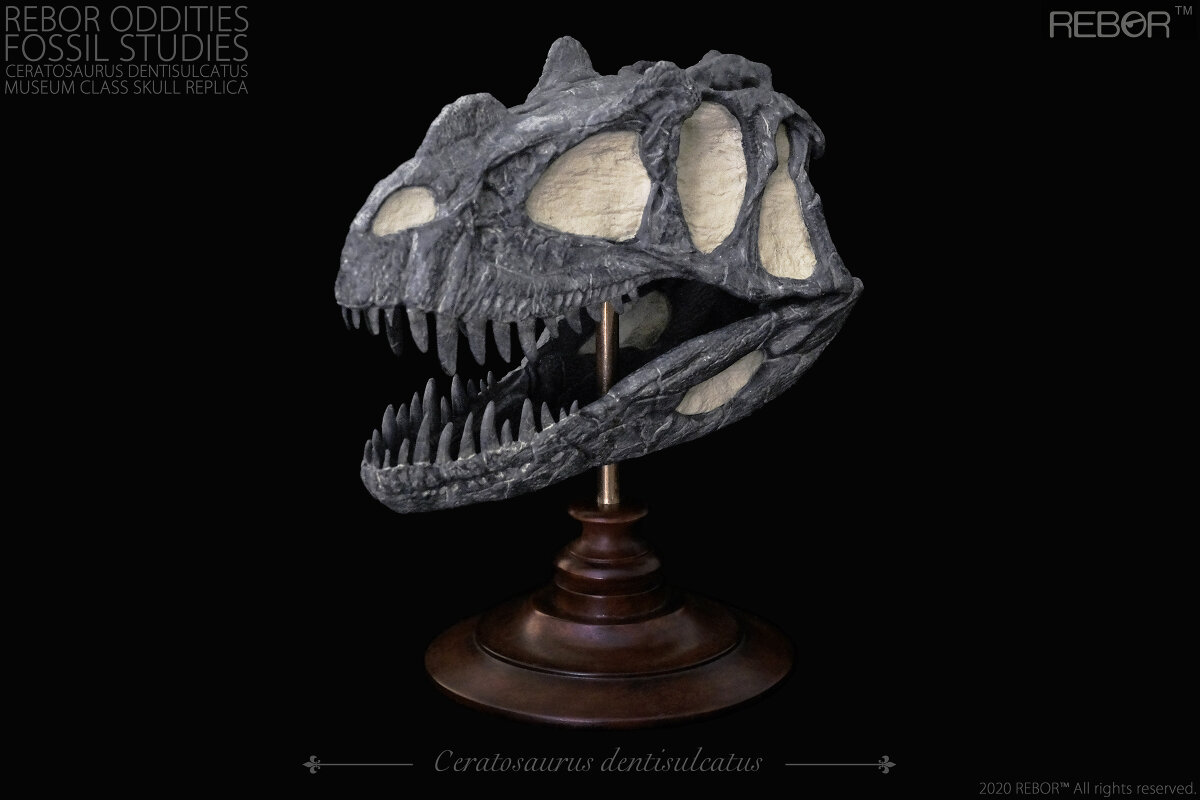 Rebor Dinosaurus