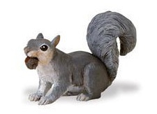 Squirrel grey S296129