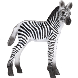 Zebra veulen Mojo 387394
