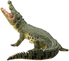 Crocodile   Mojo  387162