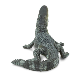 Alligator S276429