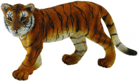 Tiger Cub walking CollectA 88413