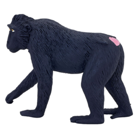 Macaque   Mojo 387182