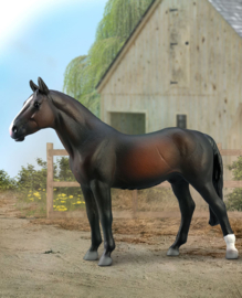 Holsteiner stallion bay CollectA 88987