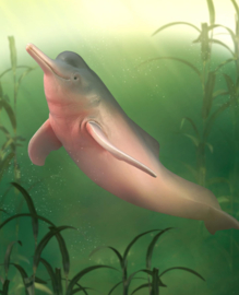 Amazon River Dolphin CollectA 88994