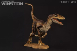 Velociraptor Winston  Rebor 98504