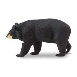 Asian Black Bear  S100044