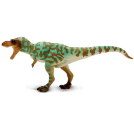 Albertosaurus S 100740