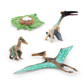 Pteranodon  lifecycle