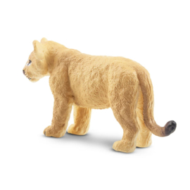 Lion cub standing  Toymany